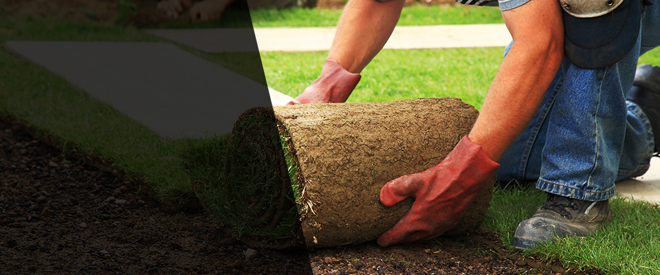 Tornillo Landscapers